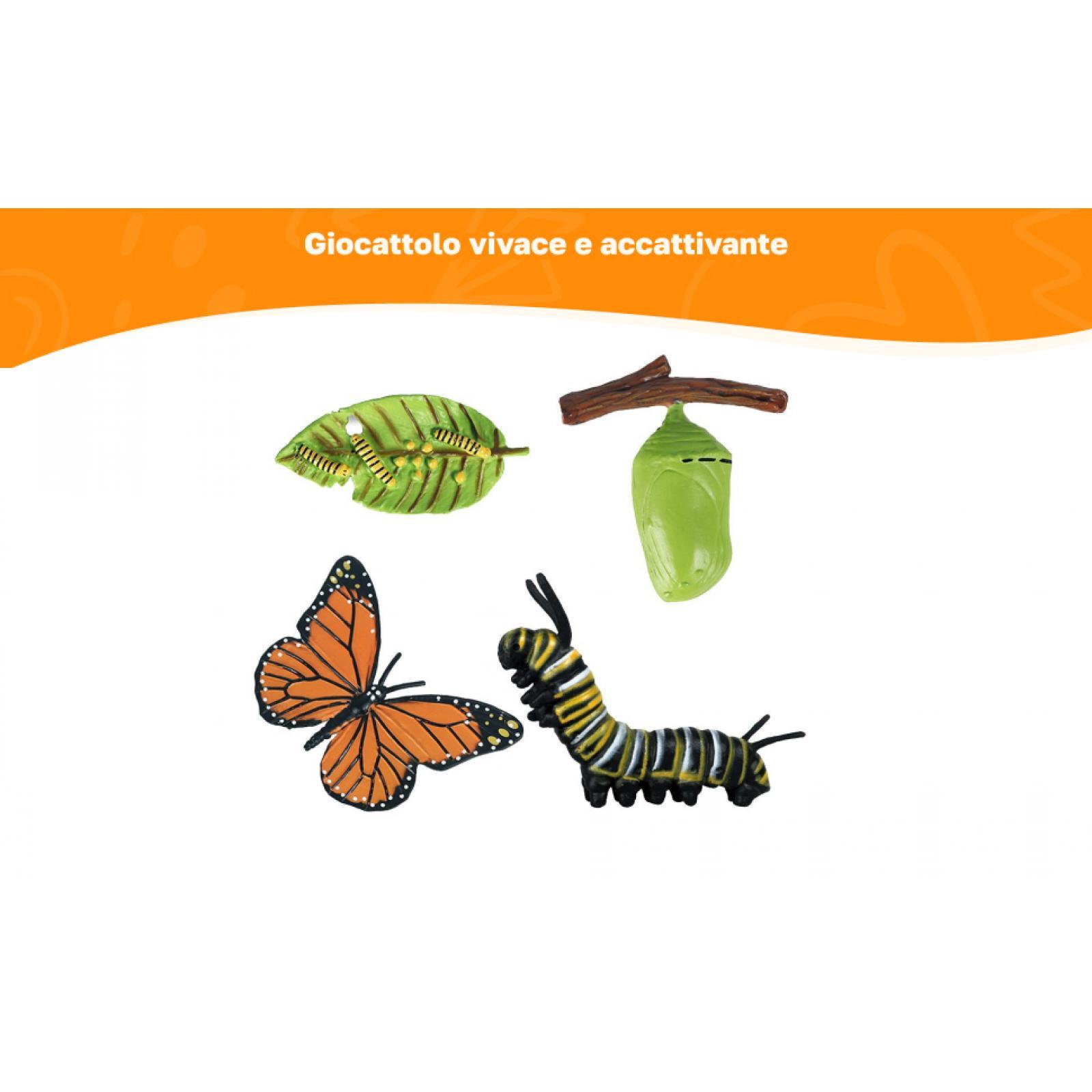 Figurines du cycle de vie des  - Kids Education Sites avis et prix